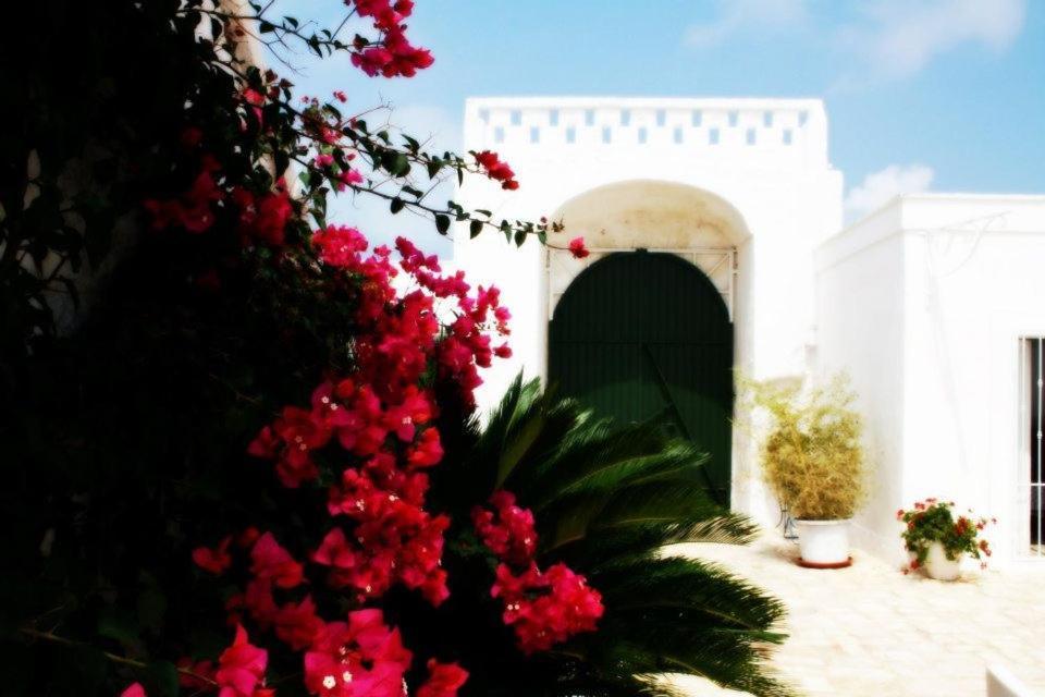 Masseria Boezio Ostuni Bed & Breakfast Torre Santa Sabina Ngoại thất bức ảnh