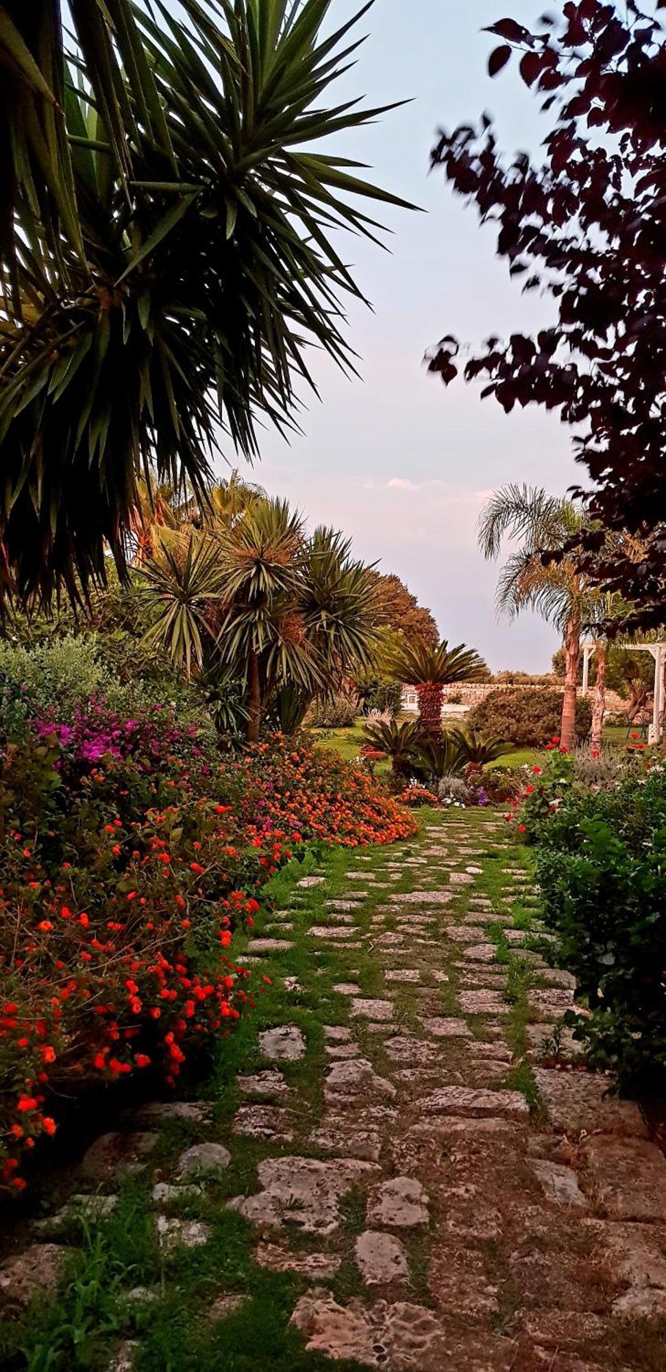 Masseria Boezio Ostuni Bed & Breakfast Torre Santa Sabina Ngoại thất bức ảnh