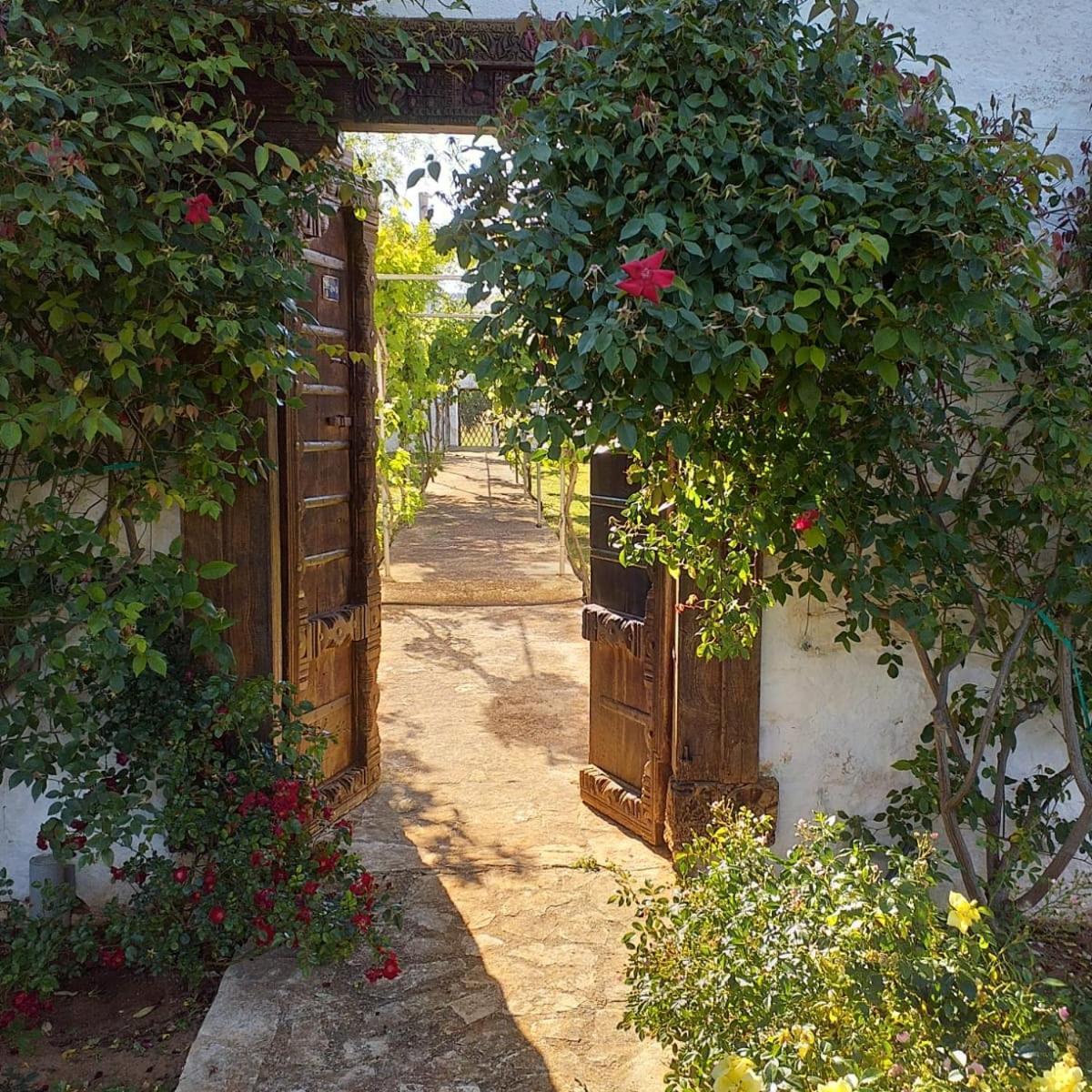 Masseria Boezio Ostuni Bed & Breakfast Torre Santa Sabina Ngoại thất bức ảnh