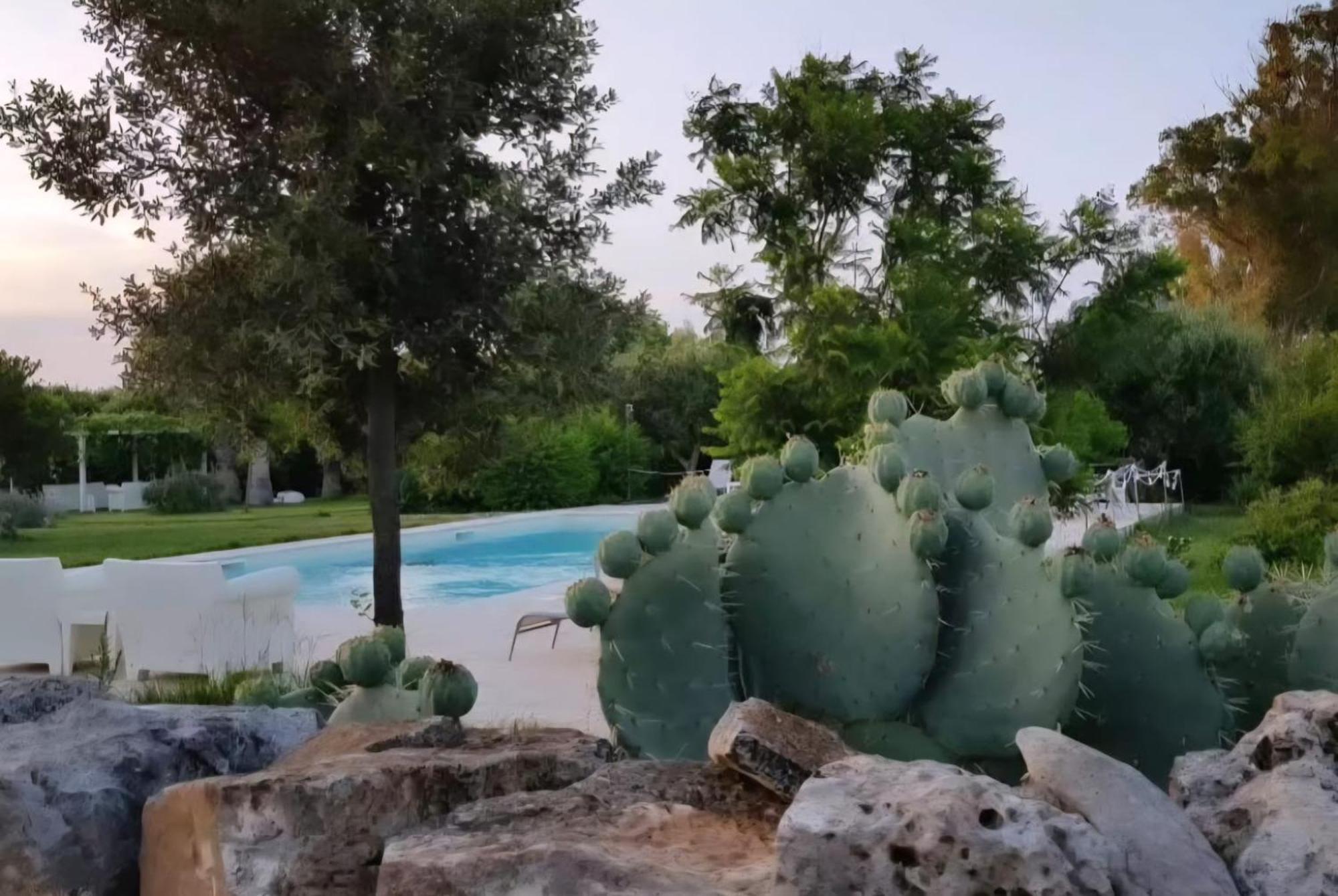 Masseria Boezio Ostuni Bed & Breakfast Torre Santa Sabina Ngoại thất bức ảnh